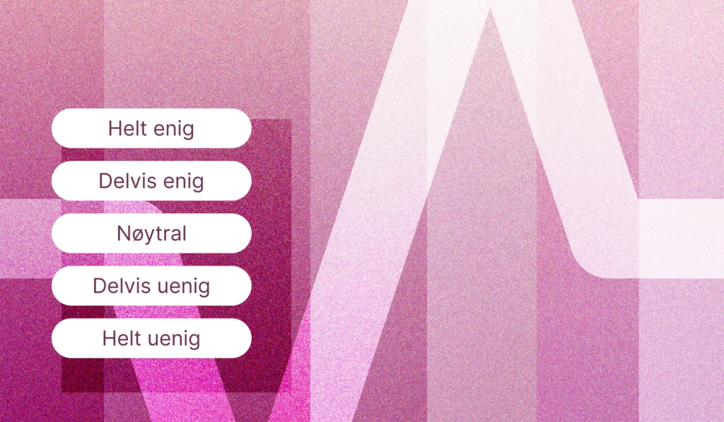 styreevaluering styreportalen bård