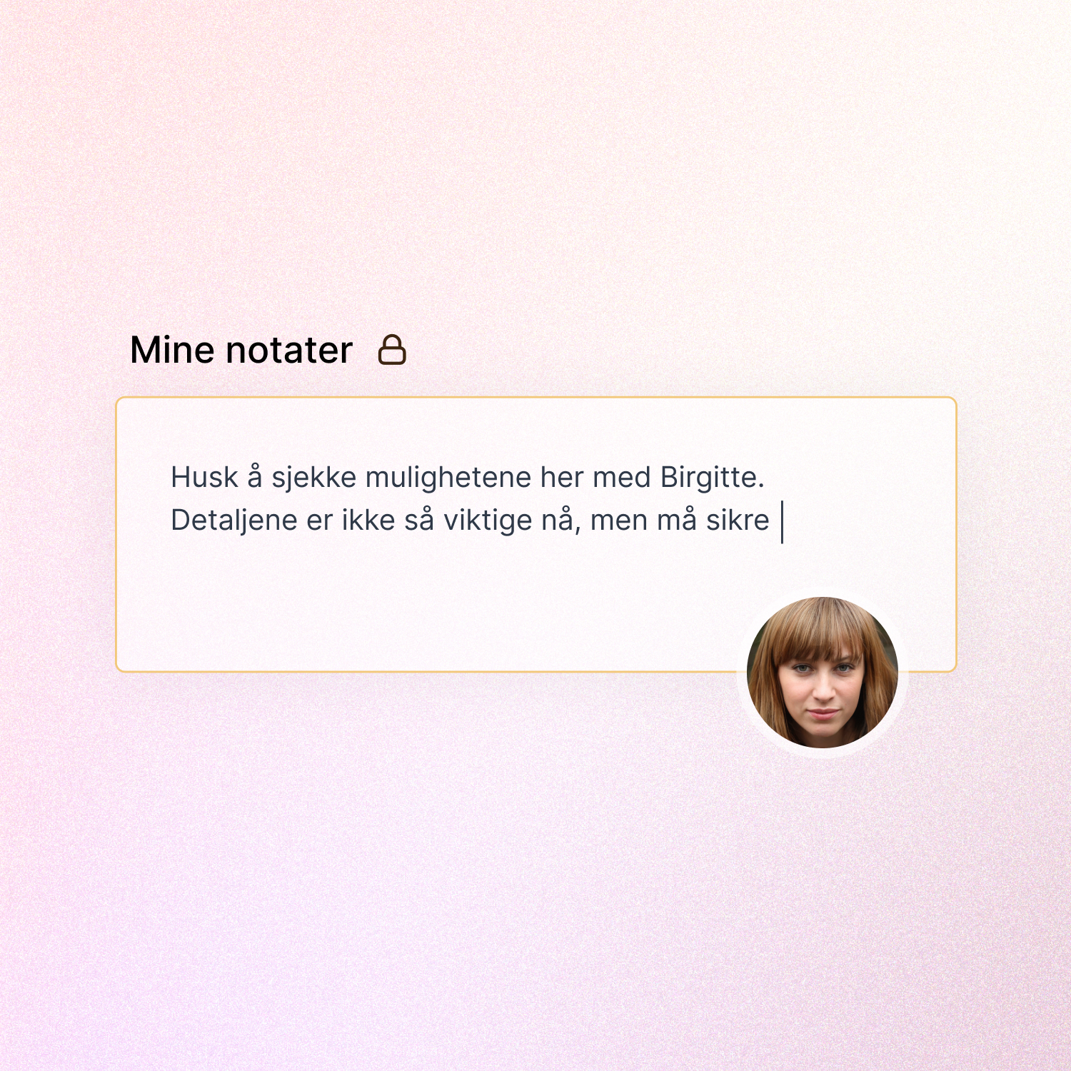 styreportal private notater